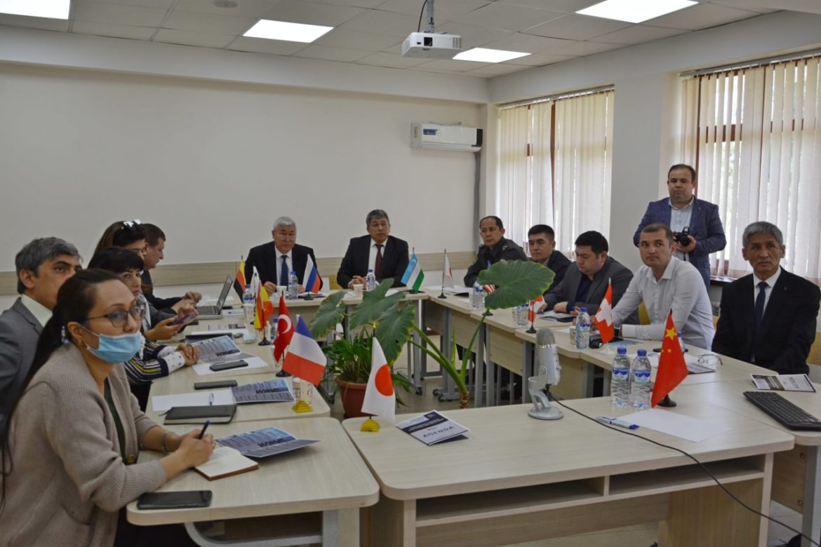 photo5469764473955922771