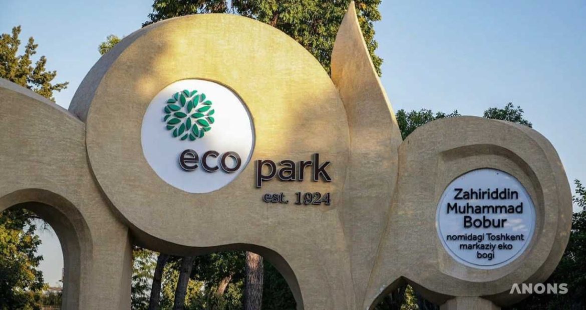 photo5273887396590629895